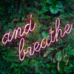Neon sign that says "and breathe" in front of green leafy background