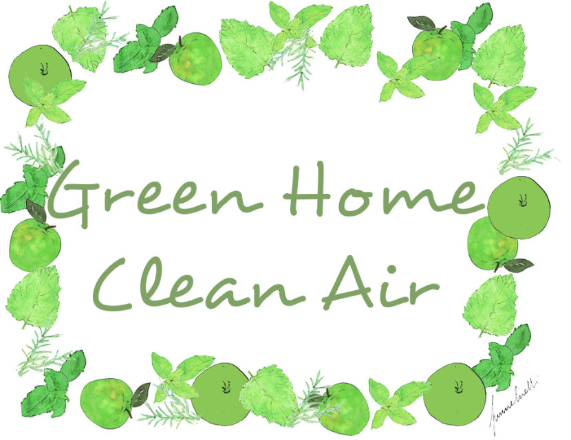 Green Home, Clean Air Beauty and WellBeing