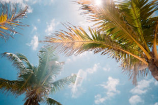 Photo by Jorge Vasconez on Unsplash